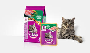 Maybe you would like to learn more about one of these? 82 Gambar Kucing Whiskas Paling Hist Gambar Pixabay