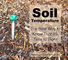 Temperature (°f) anomaly temperature (°f) temperature 2m, eps average (°f) temperature 2m, eps minimum (°f) temperature 2m, eps maximum (°f) temperature 2m, eps spread (k) temperature, close to the ground (°f) max. Soil Temperature The Best Way To Know That It S Time To Plant Your Garden