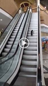 1 Million Stunning Free Images To Use Anywhere Www Restoremajorityrule Com In 2020 Stairs Workout Funny Cat Videos Funny Cats And Dogs