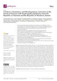 PDF) Cytokine, Chemokine, and Metalloprotease Activation in the Serum of  Patients with Nephropathia Epidemica from the Republic of Tatarstan and the  Republic of Mordovia, Russia