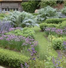 Does Anyone Know What The Large Fern Leaf Silver Plants Are In This Picture Are Those Just Thistles Garden Design Garden Planning Potager Garden