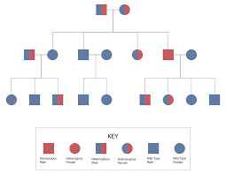 Autosomal Recessive Pedigree Chart Typically These Genes Don T Manifest Themselves In Parents Organisms There Pedigree Chart Family Tree Family Tree Maker