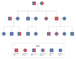 Sometimes i daydream about commissioning one in the same style as norman rockwell's above. Autosomal Recessive Pedigree Chart Typically These Genes Don T Manifest Themselves In Parents Organisms There Pedigree Chart Family Tree Family Tree Maker
