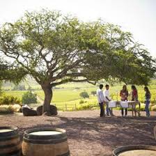 Ruta Del Vino Casablanca To Learn More About Valparaiso Casablancavalley Click Here Http Www Greatwinecapitals Com Cap Ruta Del Vino Casablanca Rutas