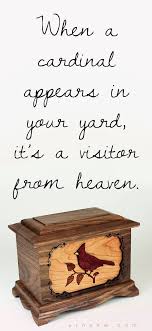 When A Cardinal Appears In Your Yard It S A Visitor From Heaven Urns Memorial Urns Cremation Services Companion Urns