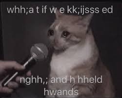 Pin By Mikael On 3 Memes Etc Cute Memes Memes Kirby Memes