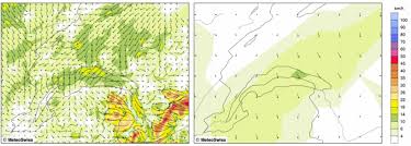 The pollen dispersal is affected by weather and climate. Bund Finanziert Neue Rechnergeneration Fur Meteoschweiz Computerworld Ch