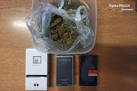 Filmografia, nagrody, biografia, wiadomości, ciekawostki. Wozhofdgin K9m