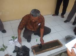 Tanaman lidah mertua adalah tanaman yang mudah dibudidayakan di indonesia karena tidak membutuhkan banyak air dan cahaya. Segala Artikel Tentang Tanaman Cover Crop Tanaman Kehutanan Tanaman Penyubur Tanah Sayuran Www Tanijaya Com Suplier Benih Tanaman Kayu Legume Cover Crop