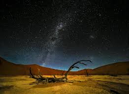 The group is about the right size to know everyone in a short period of time. Namibia 2021 Photo Expedition April 4 20 2021 Firstlight Workshop