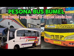 Tarif bus ekonomi jogja solo. Video Bus Bumel