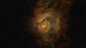 Image result for Searsia nebulosa