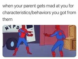 We did not find results for: Arguing With Parents Memes