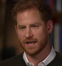 Greg Bruce: Can't we just leave Harry alone?