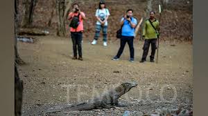 Tentukan pasangan bilangan translasi yang harus dilakukan harimai agar ia mendapatkan rusa. Ini Alasan Wisata Taman Nasional Komodo Akan Ditutup Setahun Travel Tempo Co