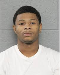 ᐅ Illinois Criminal Records 2009-2026