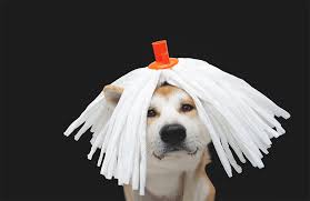 Now, when you concentrate on the mop head, you see a triangular red beveled. How To Remove O Cedar Spin Mop Head