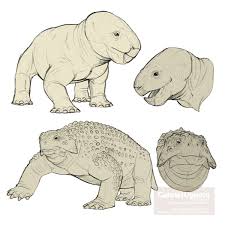 Image result for Pareiasaurus
