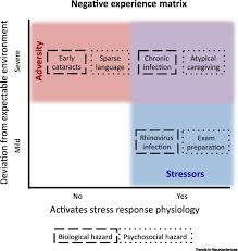 Early Adversity And Critical Periods Neurodevelopmental Consequences Of Violating The Expectable Environment Sciencedirect