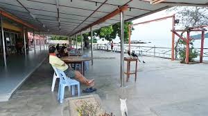 Sea view hotel provides comfortable and cozy guest rooms with the best value rates in town. Oriental Pied Hornbills Feeding At Sea View Resort Pangkor Bombastic Borneo