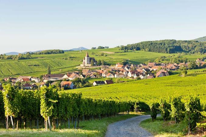 La route des vins d'Alsace - Strasbourg Tourisme, Loisirs et Congrès