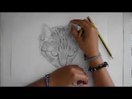 Disegni a matita tumblr cerca con google nel 2019. Speedpaint Ritratto A Matita Di Un Gatto Disegno Libero Youtube