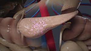 Le diabète de type 2 peut être inversé, mais trop de malades, et leurs médecins, l'ignorent encore. Diabete La Bombe A Retardement Faire Face Toute L Actualite Du Handicap