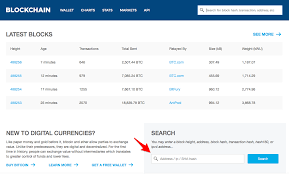 When using bitcoind, the client gives you the txid as the response for a successful send. How To Check Your Wallet Transaction On Blockchain Info Help Center
