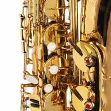 Diversos modelos para escolher com envio imediato. Saxofone Tenor Michael Wtsm30n Bb Si Bemol Com Case Multisom