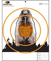 free printable shooting targets mossy oak