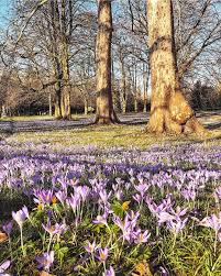 Paola S World On Instagram This Is The Amazing View On My Path To The Market Earlier This Morning On This Sunny And Warm Sunday I Am So Looking Forward T