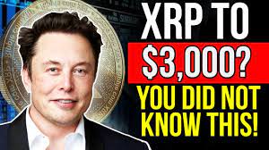 On the hunt for ripple predictions? Elon Musk How Much Will Xrp Be Worth In December 2021 Xrp Price Prediction Xrp News 2021 Youtube