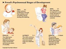 what drives a human psychosexual stages of development