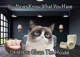 Search, discover and share your favorite grumpy cat gifs. Grumpy Cat Says You Never Know What You Have Until You Clean The House Grumpy Cat Humor Grumpy Cat Garfield Cat