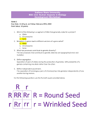 Beifacebook finden wir sie hier und mit der facebookgruppe: Mendel And Basic Genetics Packet Ws Answers Punnett Squares Punnett Square Mendelian Genetics Activity Punnet Squares Explain Why Or Why Not