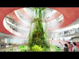 Open Shore West Palm Beach Banyan Hub Nature Courtyard West Palm Beach Palm Beach Florida West Palm Beach Florida