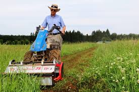 Unit attaches with adapter like bcs 732, 740 condition: Have You Heard About The New Bcs Bcs Two Wheel Tractors Facebook