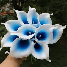 Picasso Blue Calla Lilies Royal Blue Calla Lily Bouquet 10 Stems For Bridal Bridesmaids Wedding Centerpieces Corsage Flowers Mtl Fln010 Picasso Calla Lilies Faux Flowers Wedding Calla Lily Wedding