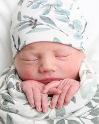 Ashley Pushee Properties