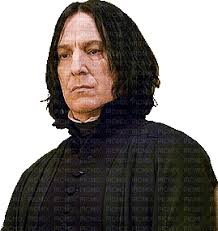 Severus snape was an undercover spy for the order, sideman to the dark lord, a potion's master, headmaster, a professor potter dubbed his youngest son's middle name after snape, claiming he. Severus Snape Severus Snape Slytherin Harry Potter Hogwarts Hannahjulyslytherin Picmix