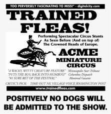 › flea & tick control. Acme Miniature Flea Circus Poster Hd Png Download Transparent Png Image Pngitem