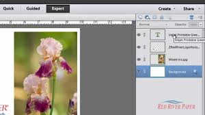 Layers Palette  in photoshop