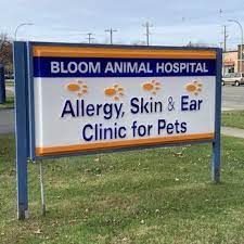 At animal care hospital we promise to offer your pet the highest quality of individualized, progres. Bloom Animal Hospital 16 Photos 15 Reviews Veterinarians 31205 Five Mile Road Livonia Mi Phone Number