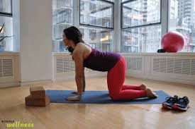 Cat Cow Yoga Pose Better Posture Yoga Poses Postures