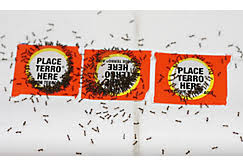 How safe is terro ant killer around pets? Faq S Is Ant Killer Safe For Pets How Does Borax Kill Ants
