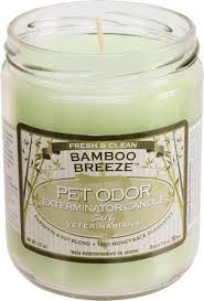 .candle orange lemon splash, pack of 2 #specialtypetproducts #dogdeodorizers #doggroomingsupplies #exterminator to specialty pet products : Pet Odor Exterminator Candle Bamboo Breeze Candles Pet Odors Odor Eliminating Candles