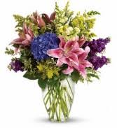 Maybe you would like to learn more about one of these? Clearwater Fl Flower Shops Local Clearwater Florists Flower Shop Network
