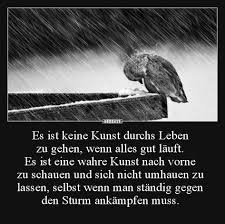 Glaubst du, es gibt leute, die gemeinsam durchs leben gehen und nie so richtig leidenschaftlich. 580 Meinungsfreiheit Ideen In 2021 Spruche Zitate Spruche Zitate