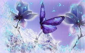 blue butterfly wallpaper - Szukaj w Google | Zdjęcia