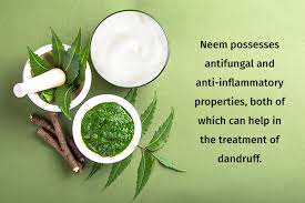 20 best herbs for hair growth 1. How To Get Rid Of Dandruff 9 Home Remedies Tips